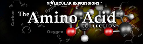 The Amino Acid Collection