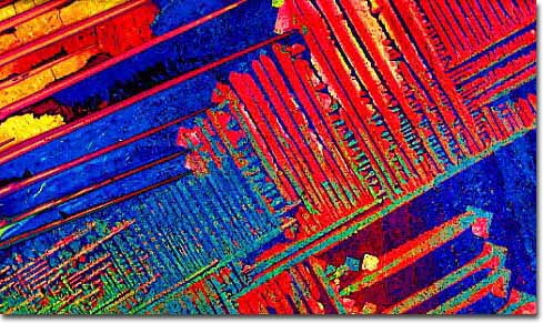 Photograph of Natural Light Beer under the microscope