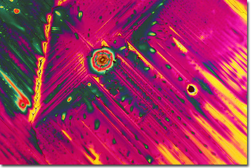 Photograph of Pink Lemonade under the microscope.