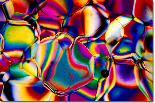 Photograph of Rum under the microscope.