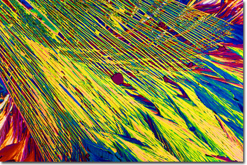 Photograph of Wiskey Sour under the microscope.