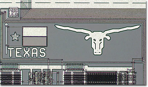 Texas Longhorns (Brightfield)