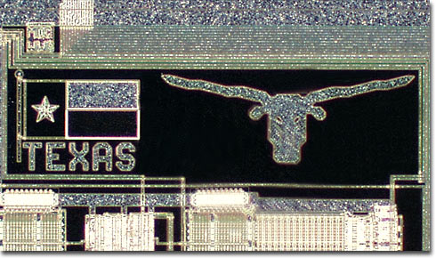 Texas Longhorns (Darkfield)