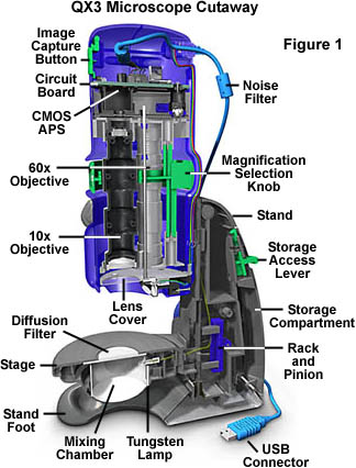 Intel play qx3 microscope software