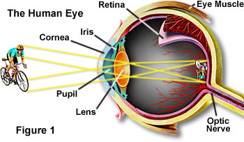 Optics Eye