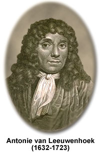 leeuwenhoek.jpg