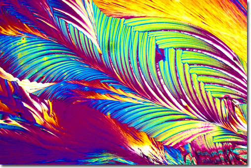 Photograph of Sulfamethoxazole and Trimethoprim (Bactrim) under the microscope.