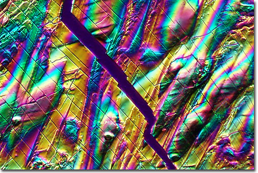 Photograph of Imodium (Loperamide) under the microscope.