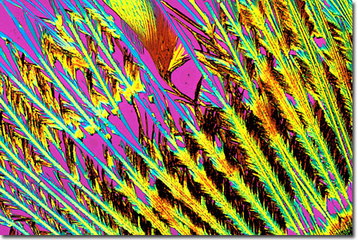 Photograph of Fluoxetine
 under the microscope.