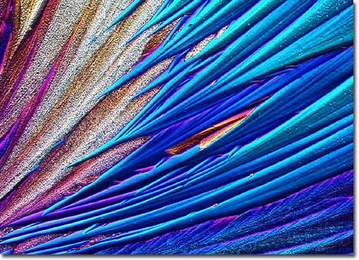 Photograph of ajoene under the microscope