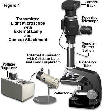 The microscope illustrated in Figure 1 uses an advanced external light 