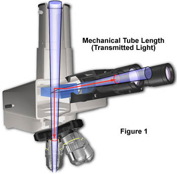  the mechanical tube length for a typical transmitted light microscope.