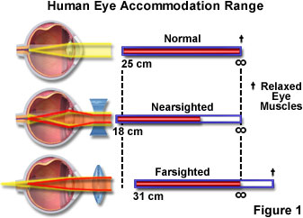 visual accommodation