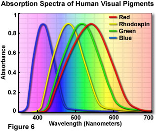 humanvisionfigure6.jpg