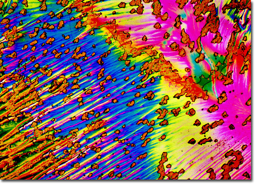 Photomicrograph of Ascorbic Acid under the microscope