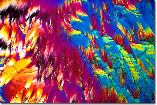Photograph of Asparagine under the microscope.
