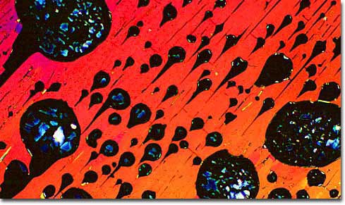 Photograph of Bass Pale Ale under the microscope
