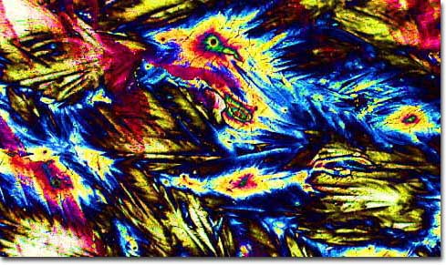 Photograph of Fuller's ESB English Ale under the microscope
