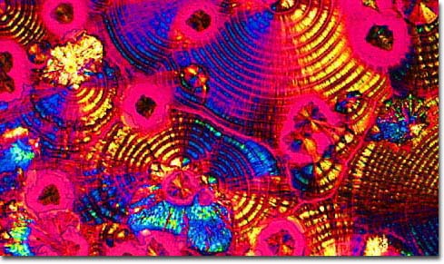 Photograph of Fuller's London Pride Traditional English Beer under the microscope