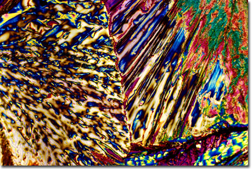 Photograph of Long Island Iced Tea under the microscope.