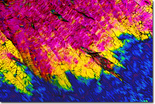 Photograph of Rye Whiskey under the microscope.