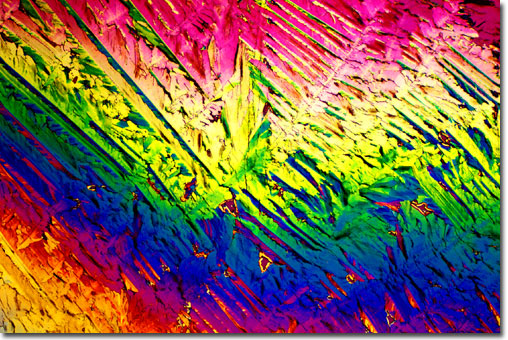 Photograph of Schnapps under the microscope.