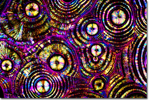 Photograph of Vodka and Tonic under the microscope.