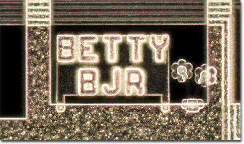 Betty's Garden (Darkfield)