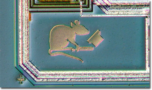 Pac Rat (Programmable Analog Circuit)