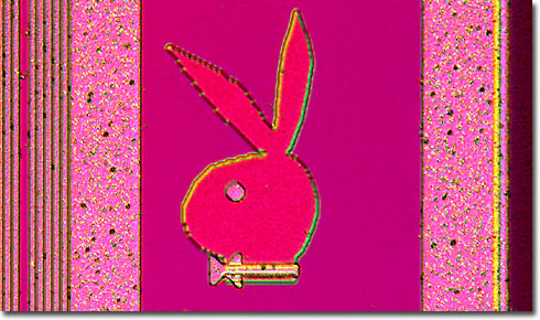 Molecular Expressions: The Silicon Zoo - Playboy Bunny