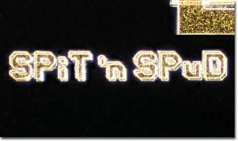 Spit 'n Spud (Darkfield)