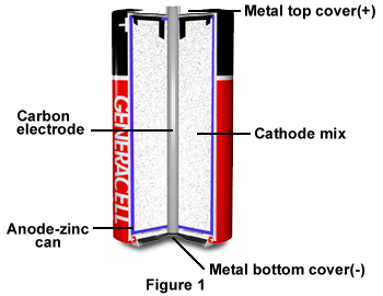 tommelfinger Skorpe fødsel Molecular Expressions: Electricity and Magnetism: Zinc-Carbon Battery