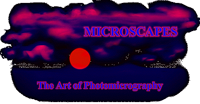 Molecular Expressions Microscapes Gallery