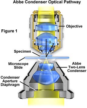 intel play qx3 microscope system information viewer