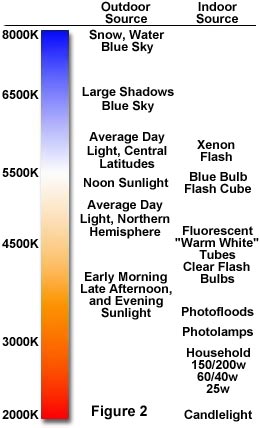 Tungsten daylight clearance