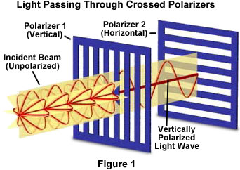 light polarization experiment