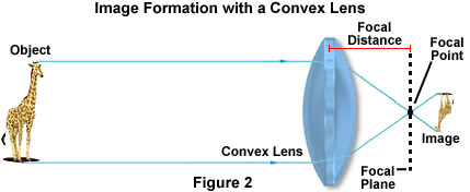 Molecular Expressions: Science, Optics, and You: Light and Color -  Refraction of Light