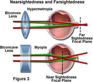 Human Eyesight