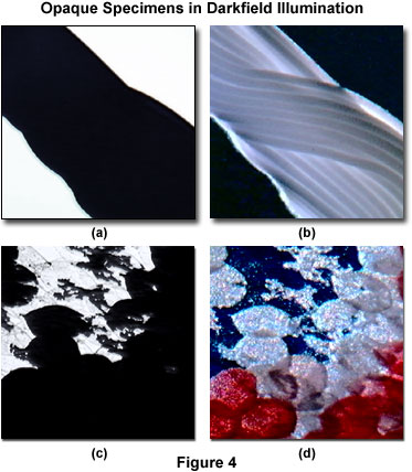 Molecular Expressions: Science, Optics & You - Olympus MIC-D: Anatomy of  the MIC-D Digital Microscope - Darkfield Illumination