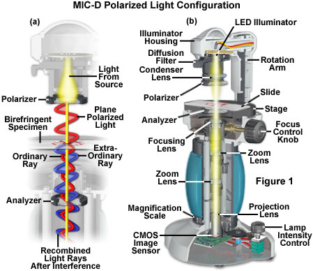 Molecular Expressions: Science, Optics & You - Olympus MIC ... polarizing light micrscope diagram 