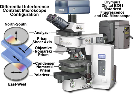 Molecular Expressions: Science, Optics and You - Timeline