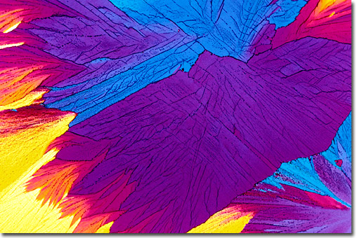 Photograph of Albeuterol under the microscope.