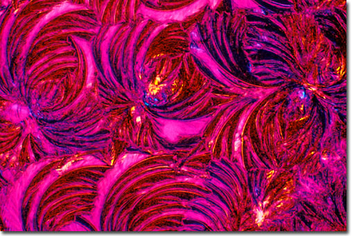 Photograph of Atropine under the microscope.