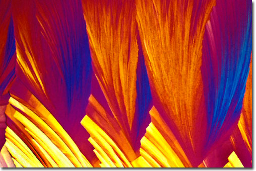 Photograph of Cardizem (Diltiazem) under the microscope.