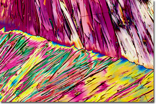 Photograph of Diazepam (Valium) under the microscope.