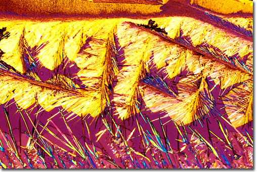 Photograph of Finasteride (Propecia) under the microscope.