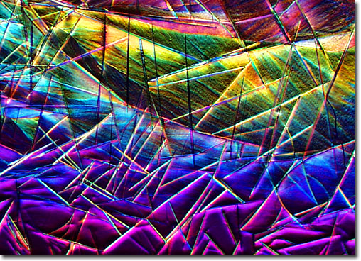 Photograph of butyl phthalide under the microscope