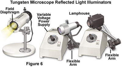 Molecular Expressions Microscopy Primer: Anatomy of Microscope - Light Sources for Optical Microscopy