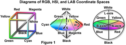 Molecular Expressions Microscopy Primer Digital Image Processing Color Spaces And Color Filtering