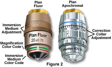 Zeiss 100x Plan Correction-Collar Oil Objective – Microscope Central